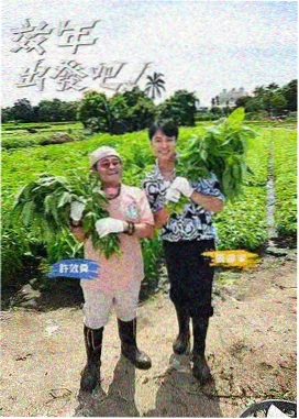 奇迷影视作品档案 纪实综艺苔原电台 现场图